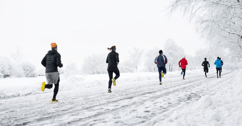 Winter Exercise 2025: Joint Military Training in Cold