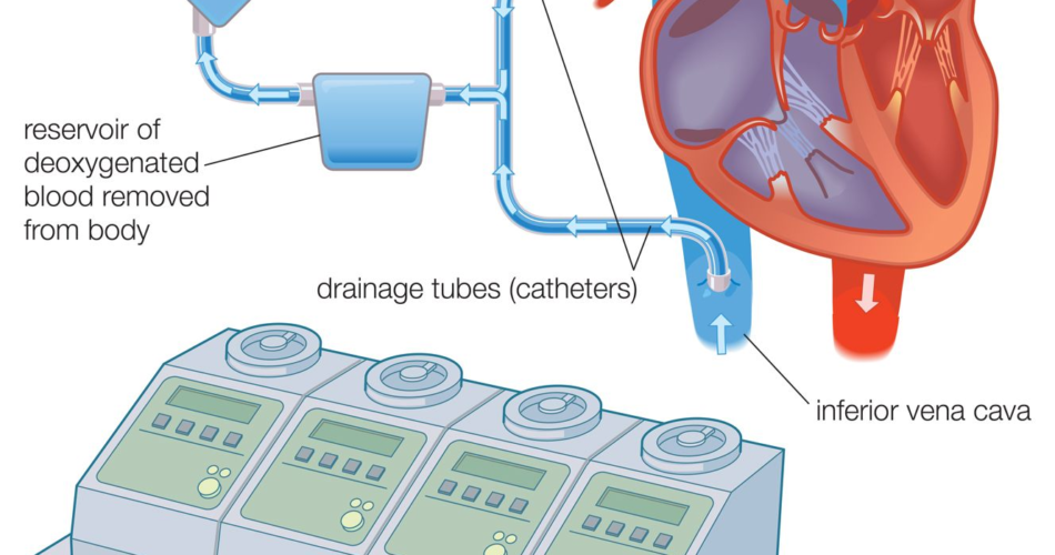 image_37XDBMR903.png