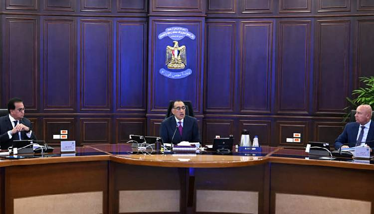 Egyptian Cabinet Private Sector Expansion Plans Revealed
